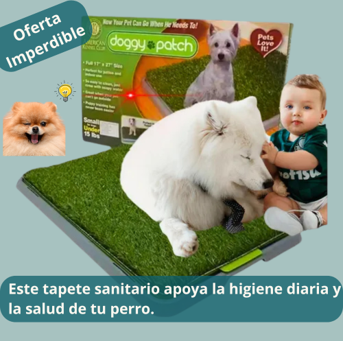 UrbaPasto 3x - El tapete que conquistará a tu perro. ¡Se acabó el pipí fuera de lugar!